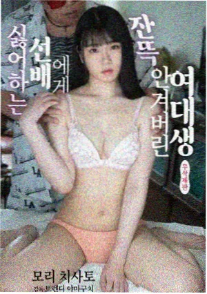 山与海之间纪实剧集在线观看封面